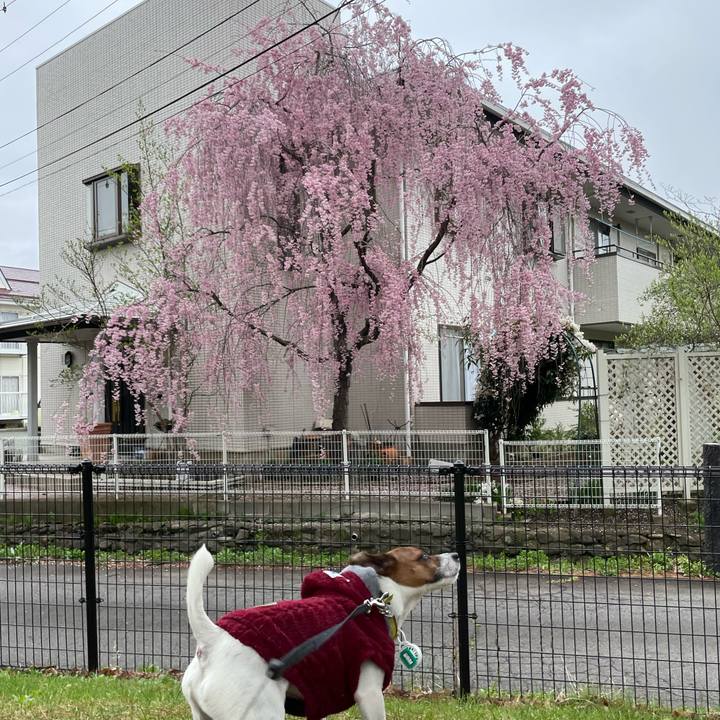 72bd152d 0324 48be 92cc 75d3f5243082 1650019602581