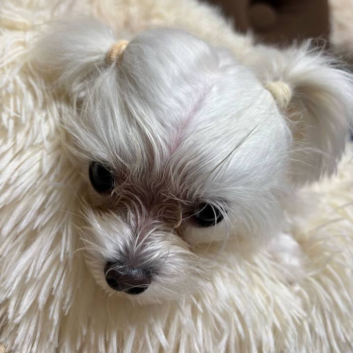 72bd1c9d 1a97 44a9 bb9d ab27c675608d 1760689605618