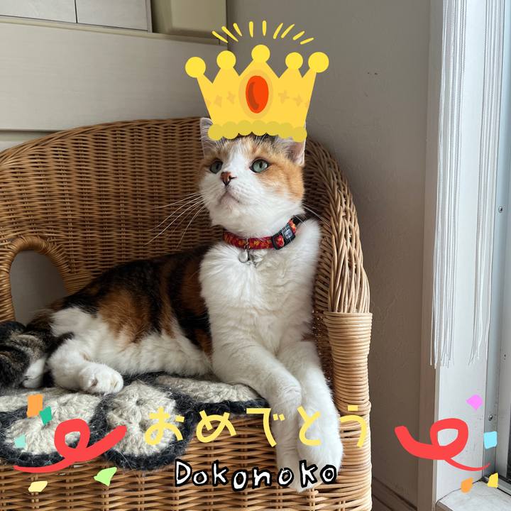 72bd465f 0e13 4c8d ad93 b5a3d20a6346 1686003928510