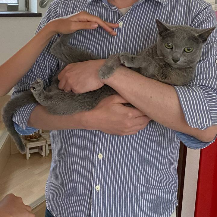 72bd5ff4 f394 4a9e a6fa a622bada094b 1623926361903