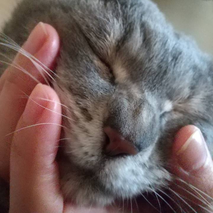 72bd6a95 1b3c 45ae b716 524fe3e22971 1651528463021