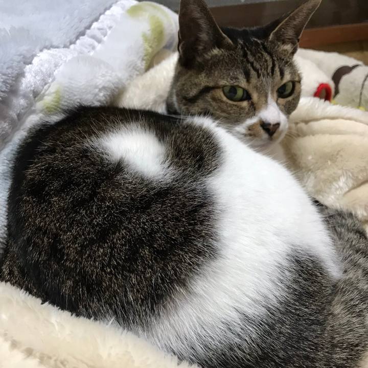 72bd7a10 d71b 4097 91bf 3387b856b186 1514418338452