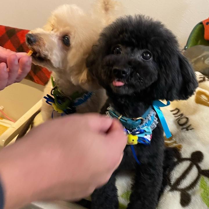 72bd7a64 7352 46c1 9a20 c592ea25836b 1641637706914