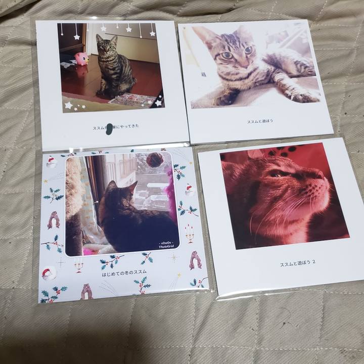 72bdc44d cc0f 44b6 852e b7448a4f5b7e 1548494057917