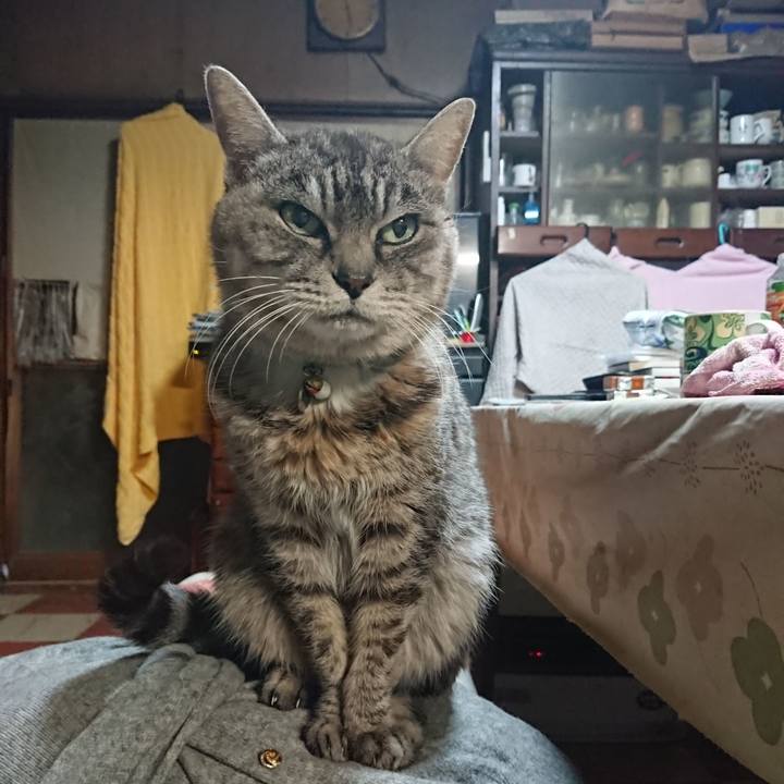 72bdc632 a198 4ea8 ad8b d3f5d6a603c5 1577392638338