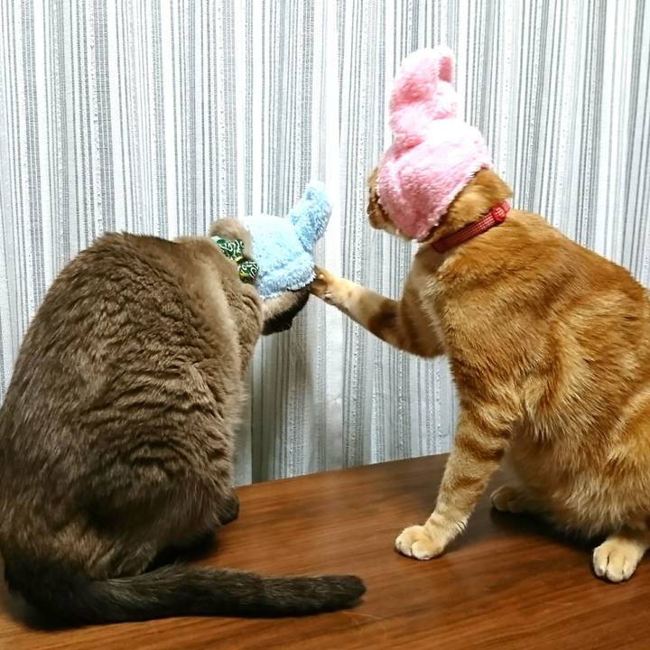 72bded7c f4aa 4801 936d 45e1d20d67c2 1522573423163