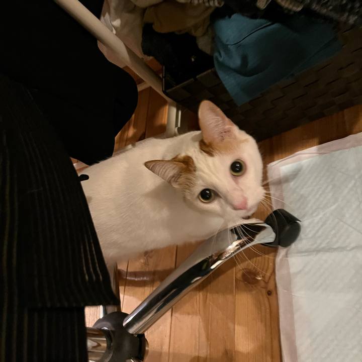 72bdef68 f6fc 40f5 ad62 801bc1dc782e 1762873344320