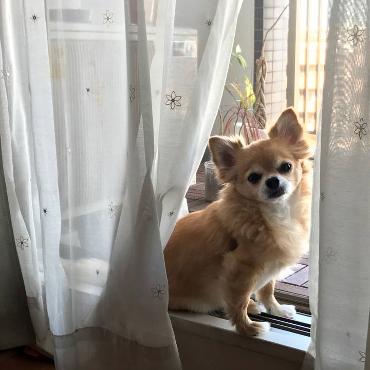 72bdfaff 1281 4151 9312 db584cd1ce6d 1535272999535