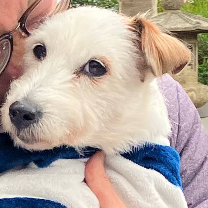 72be00e6 1a37 4010 a76f bf1a624e65a0 1670234498972