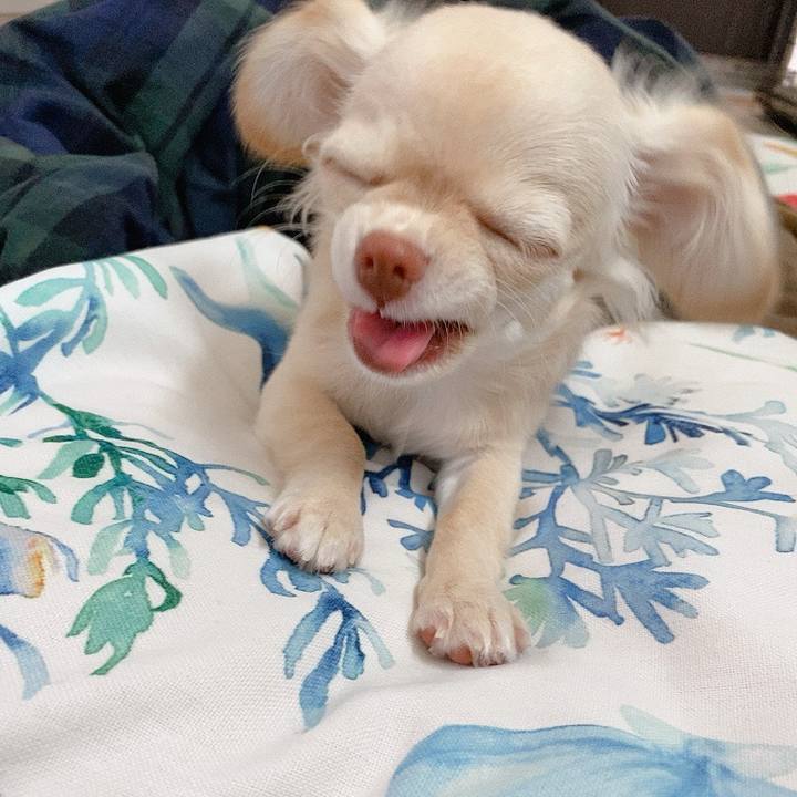 72be1f32 6f57 4a93 8209 3c4b9445de3f 1596006918561