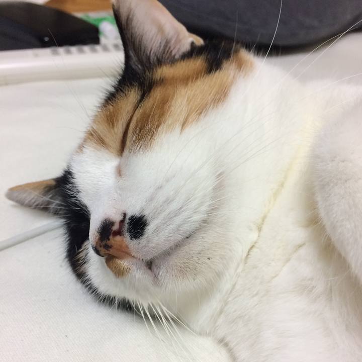 72be271b 2fb7 4458 933d 9c36822b75f4 1577000715557