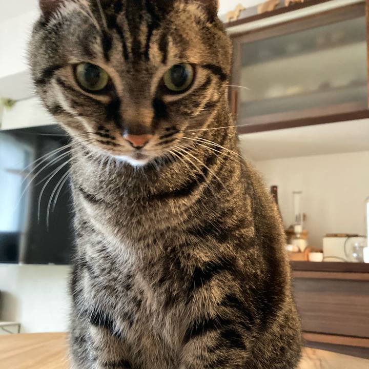 72be3e72 f38e 46bf 9584 28dcc8d26c0e 1619004028340