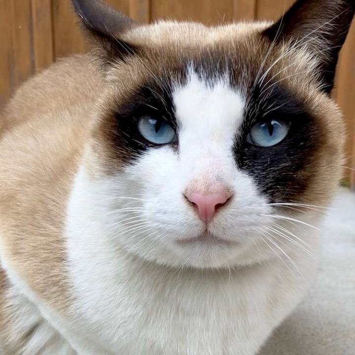 72bec066 ea63 418b 8a9e 431a5c4117ed 1742176932370