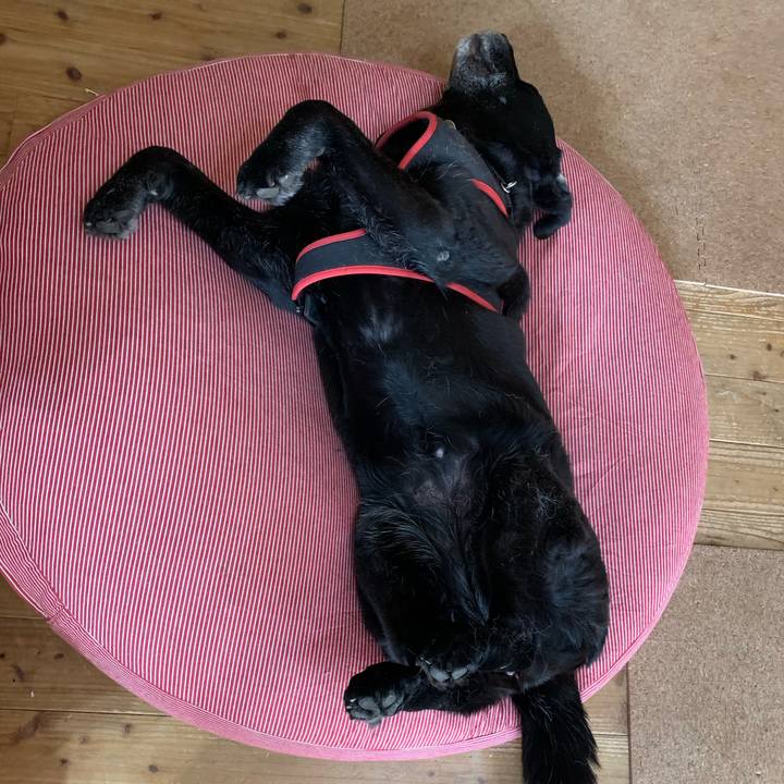 72bf59d4 ecf3 4dba a466 76d4cdde5781 1614830169027