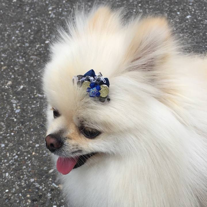 72bf739c 5c9b 4263 9683 5c0ed85a2917 1559275914804