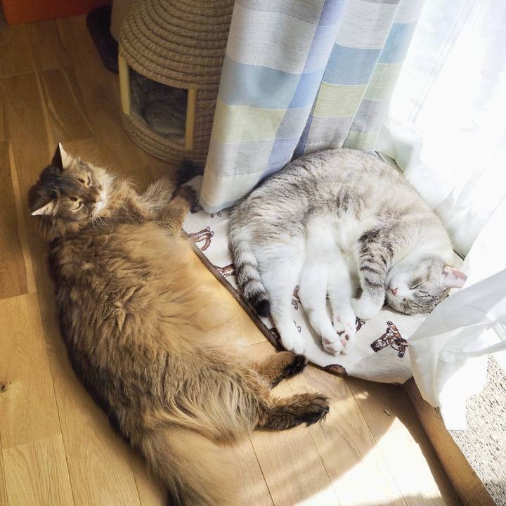 72bf96e0 3c7f 4bff 87e7 1576eaaf019c 1752637436857