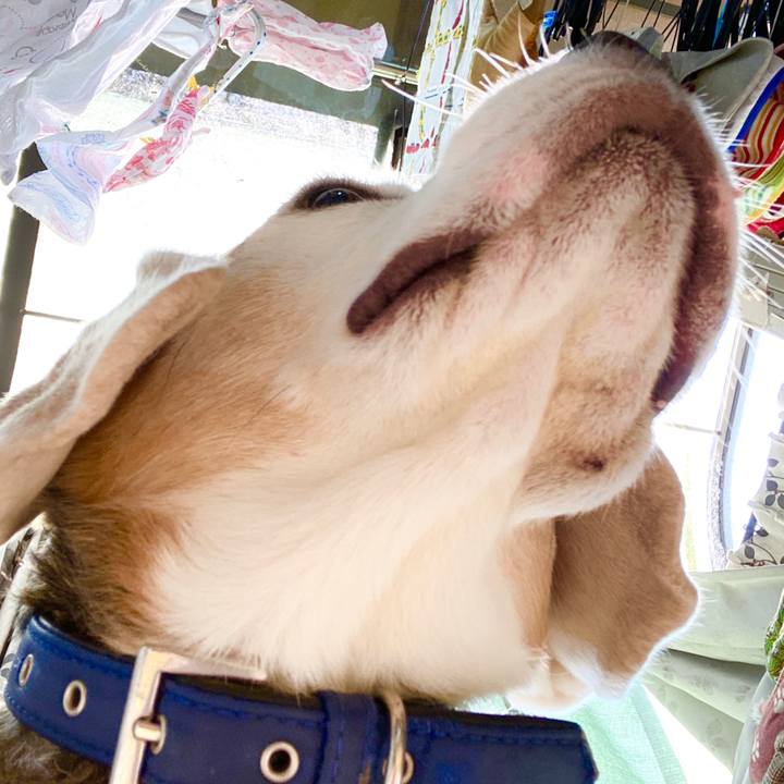 72bfb2fa 6ced 437f 8a4c e64c7e5baa99 1591077779430