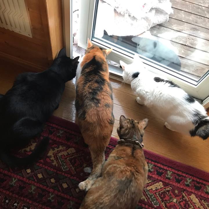 72bfde2f 8c52 4ffb a57d 036b17f2304c 1647209061813