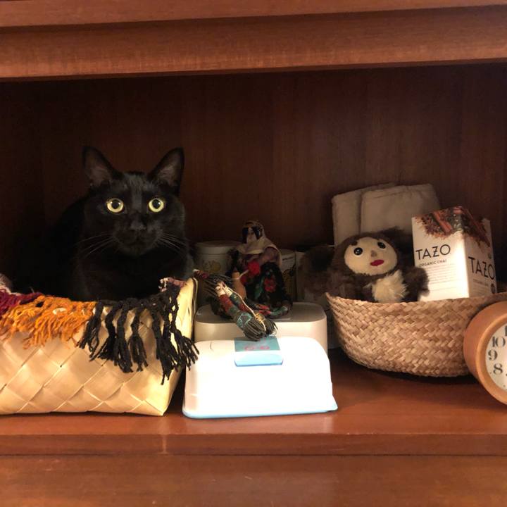 72bfeb96 8d3e 4adb a0e5 35b4cb4b70f3 1620476249691