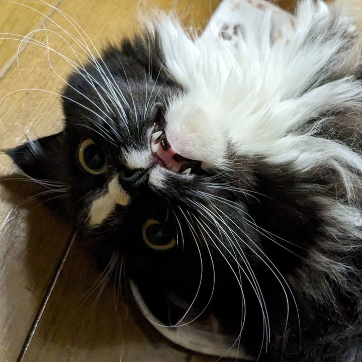 72c00123 9252 4bff b9cf 7a854cbd04e5 1676238828035