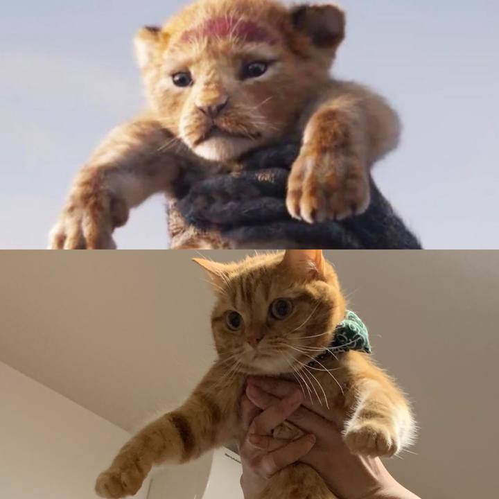 72c01c6b c1bb 476d 8b37 dbc901f0fb19 1564717707586