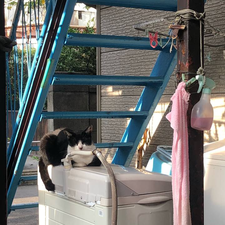 72c01f2e 347b 4374 9d47 57d37fc5c3f0 1603573043144