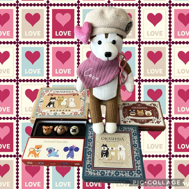 72c02aab 71e8 4fda 897c f0d0db9ac51a 1771026117837