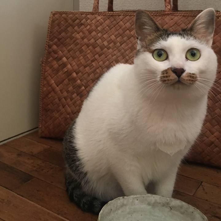 72c035e5 dc3b 473f 9b3c 76fca57f3504 1546997923582