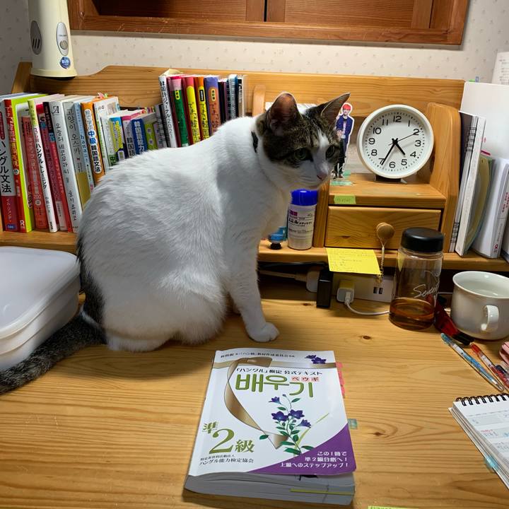 72c046c5 8c87 4b9a 9d55 6346451bb5c6 1635972788256