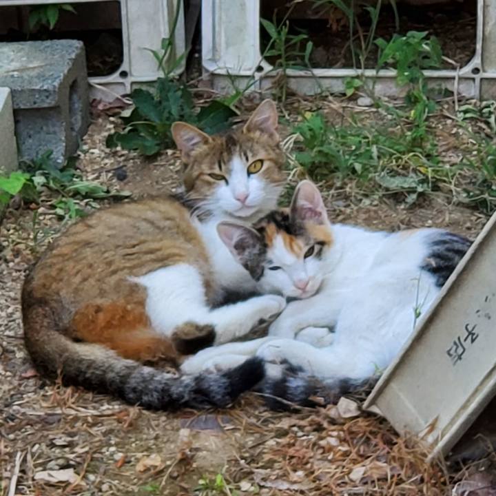 72c05173 bd94 41bf bb84 44276ef1d043 1691217625272