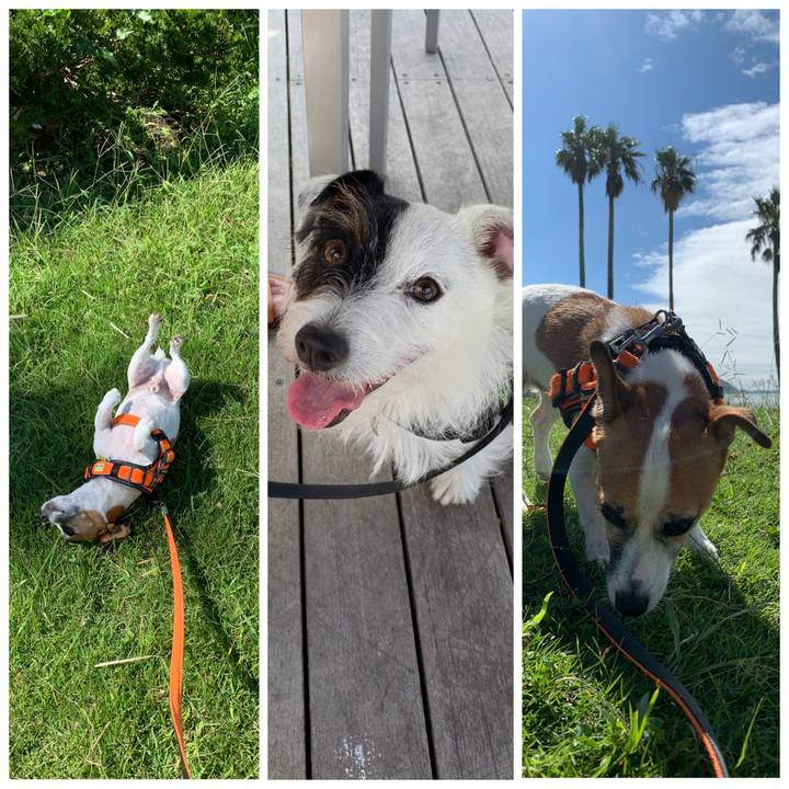 72c065b3 ea18 4279 a311 3e402011c3f3 1568509032422