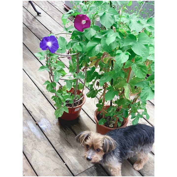 72c066be e7f5 44a1 ad9c 8f2c8f34aa56 1629242303879