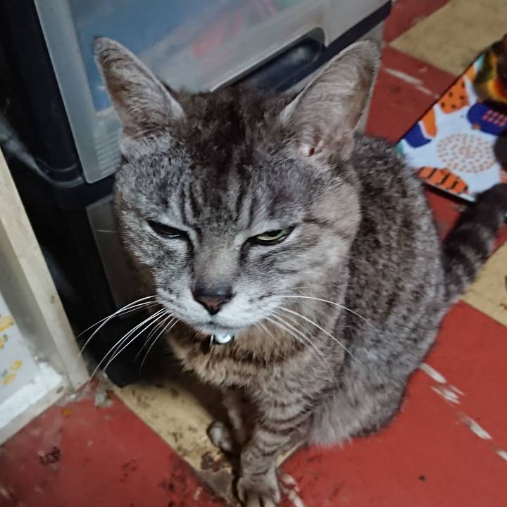 72c07bcc 67f3 4a11 bd68 235957e9f576 1563133482114