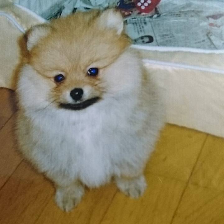 72c0f648 3c5a 4859 ad4a 8bed14ed7e17 1507901644937