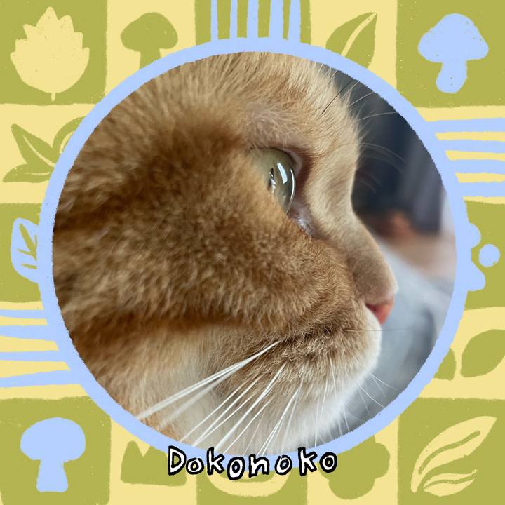 72c11c09 8bab 44e0 80b0 f7174abb22c1 1761648578489