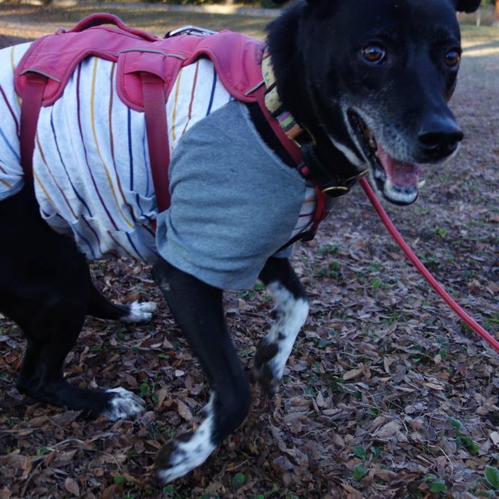 72c14521 a6b0 46f8 b238 8768e4b87367 1701564026371