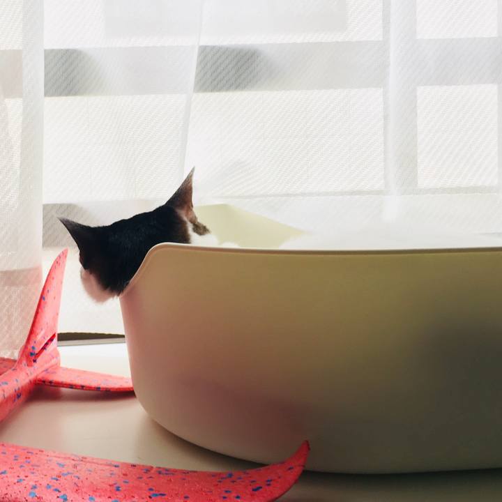 72c1464c c206 430a a7d9 ec6a6c69ec03 1593218474486