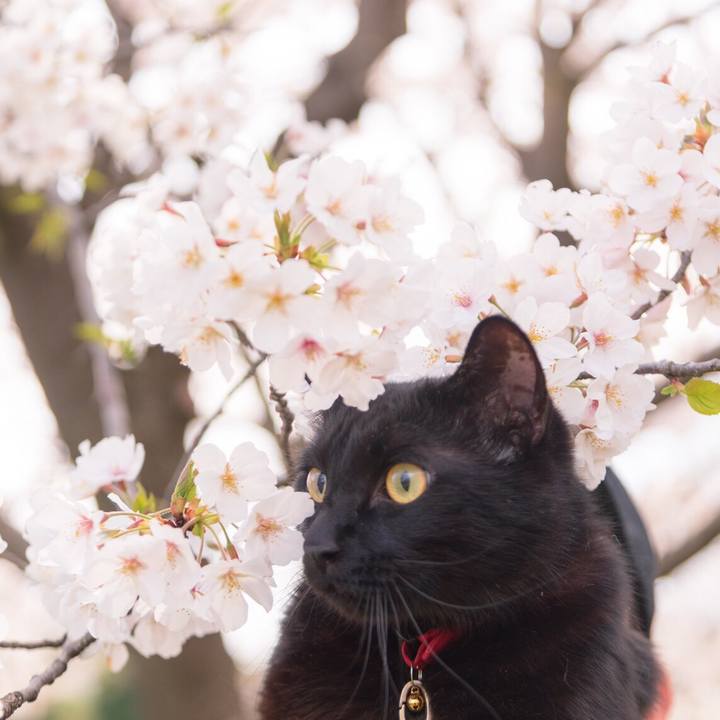 72c157f6 eb41 4bd4 9336 57cc92f2a5b1 1586694690575