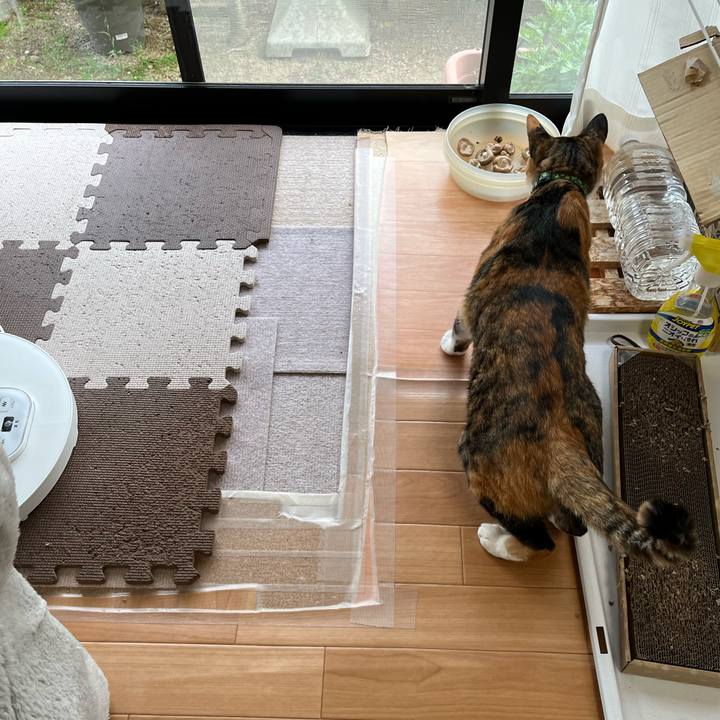 72c16682 04bb 410b bc91 a44b1cd67f50 1745147040499