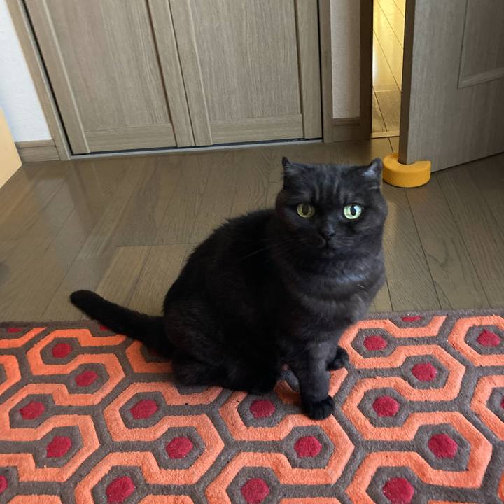 72c16ea1 d011 4a41 981a b4cebe61e9c9 1604101860395