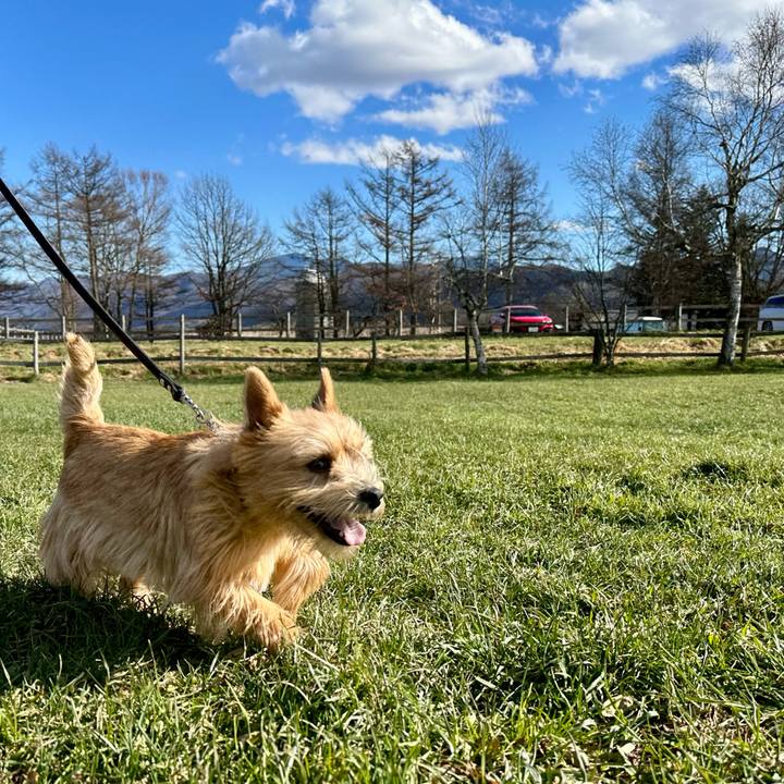 72c173c6 0d19 4c59 bd73 64c2235bfd9c 1732976907710