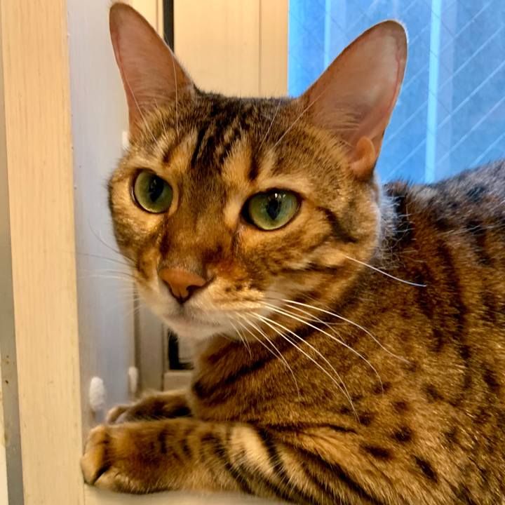 72c17873 a65f 49ad 9a2c 35b2548d0468 1563584920741