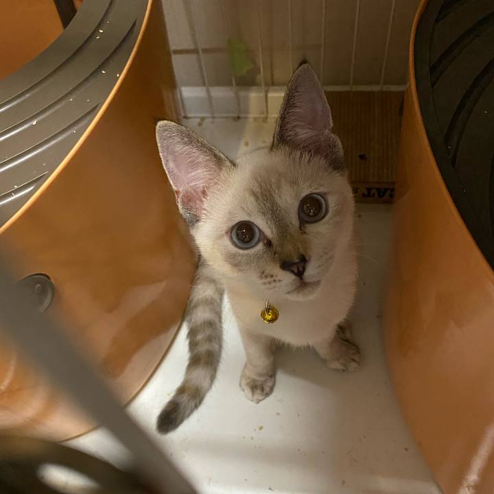 72c18613 ba61 4f84 8f2a c9688a57bf99 1631612080497