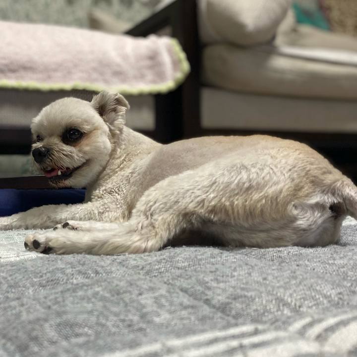 72c19f47 2299 4074 99e6 bb080f1d6ed2 1726137166812