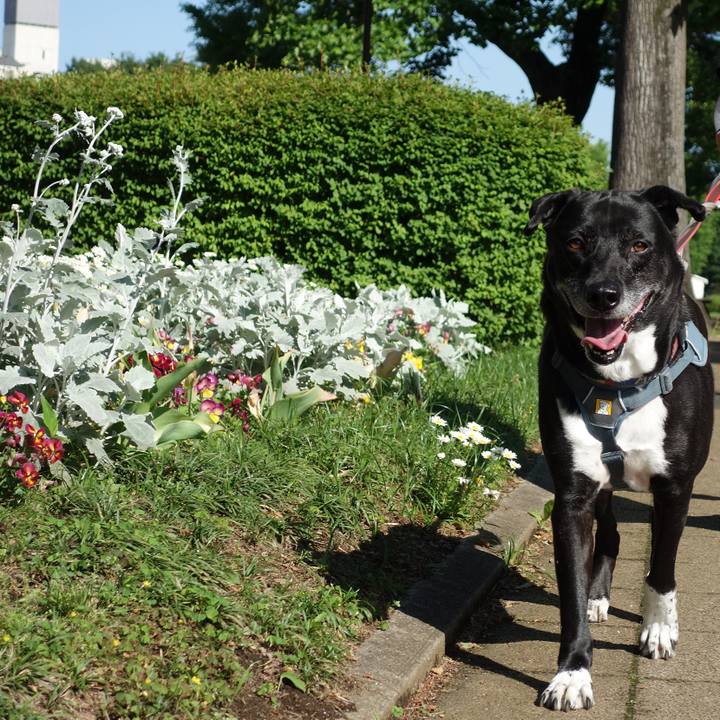 72c1c59b abf9 4182 a8d8 663518e9c203 1715308940835