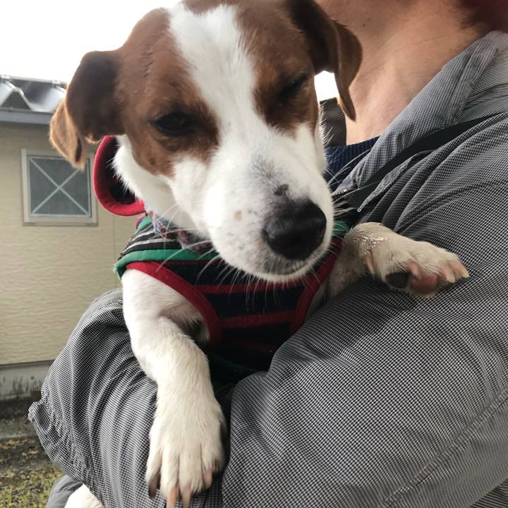 72c1f128 bd49 4fa1 8db6 f30fae3fa9d3 1588064614098