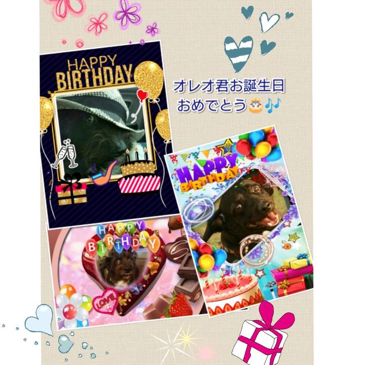 72c25f5d c561 4782 9d66 67a08187c80f 1536489624483