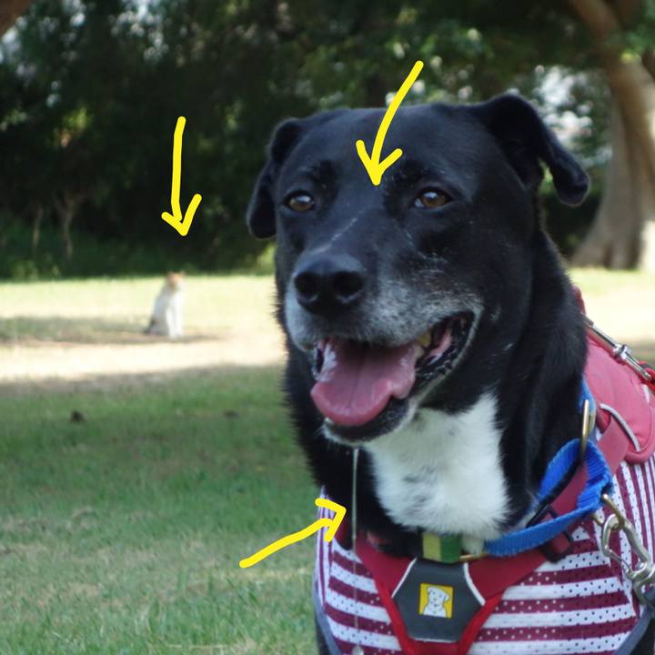 72c2919d c8cf 4305 884b 06e95a6563ca 1689120847272