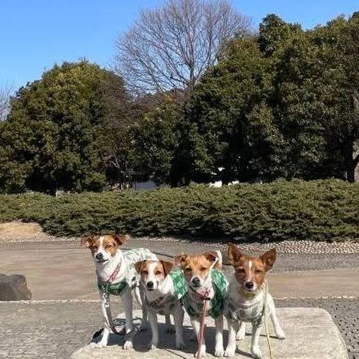 72c2e1a8 af2b 416d b491 236fe867612c 1769416072930