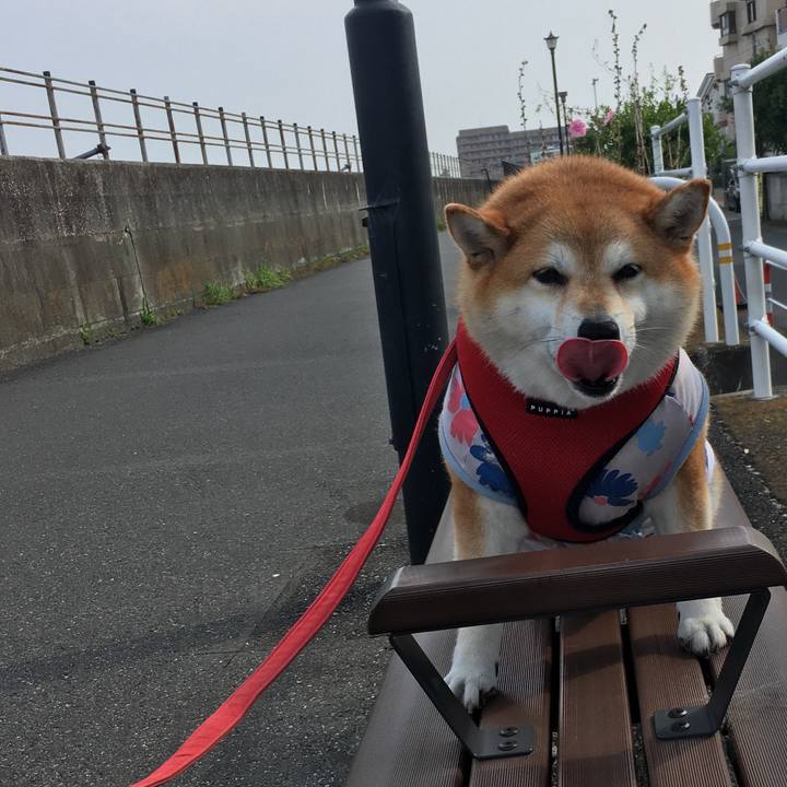 72c2eae5 5ec8 4208 adb6 d10fe63de6a5 1596937937028